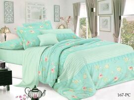 КПБ 2сп поплин Pure Cotton PC Клео <PC-167 Скидка>